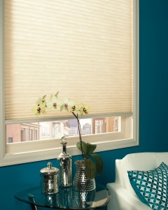 Applause® honeycomb shades with SimpleLift