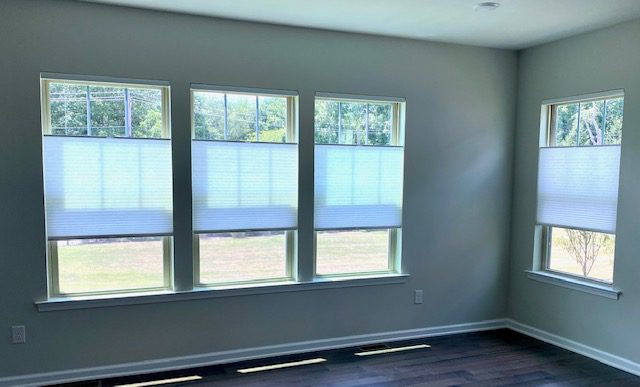Norman WIndow Fashions Honeycomb Cordless Top Down/Bottom Up Shades in Living Room