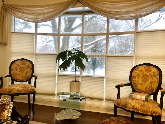 Hunter Douglas Cordless Duette® Cordless Top Down/Bottom Up Honeycomb Cellular Shades in Living Room Bay Window